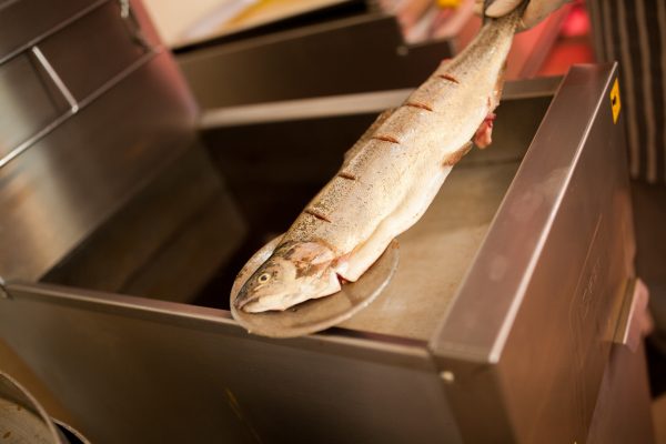 ماهی سرخ کن تجهیزات آشپزخانه صنعتی